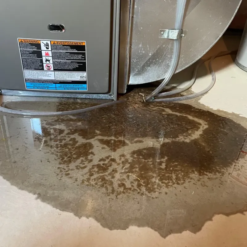 Appliance Leak Cleanup in Howard, KS
